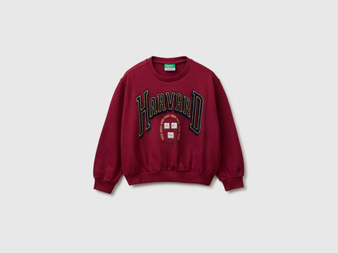 Sweat ©Harvard University - ucb_image_FS