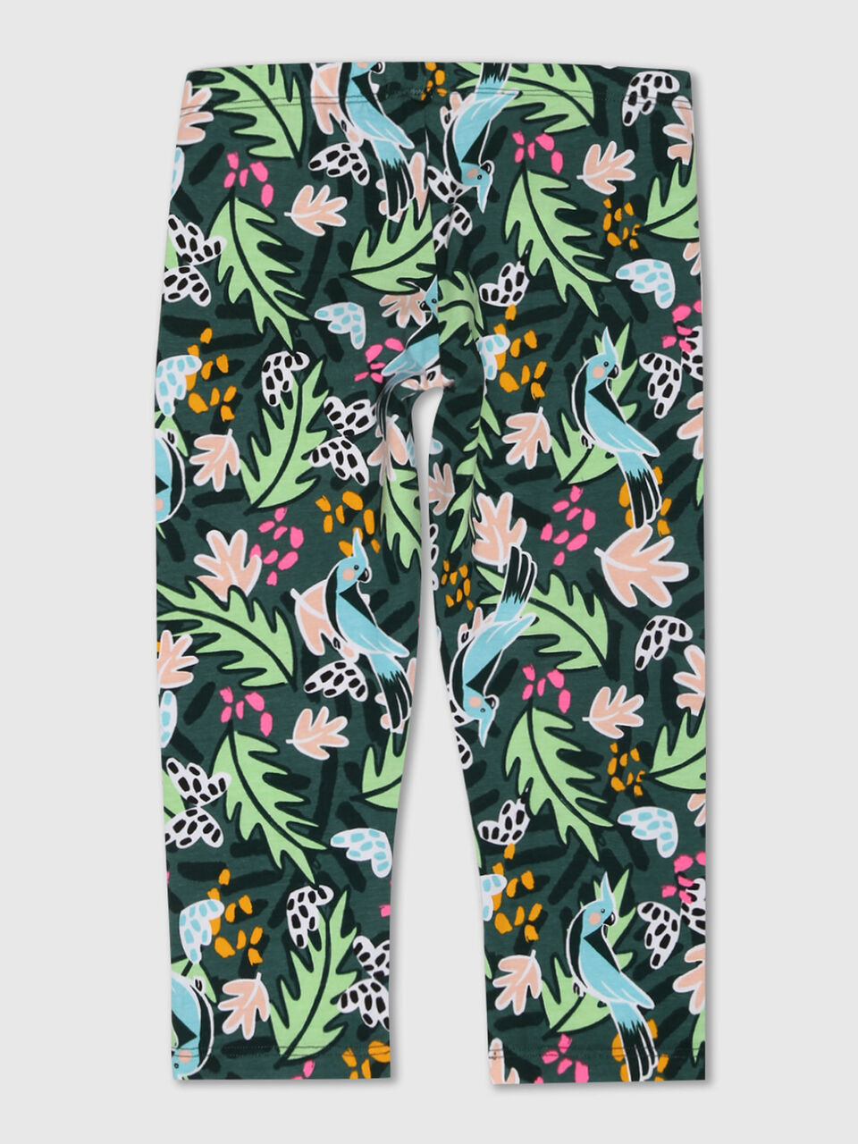 Jungle Pack Of Two Capri image number null