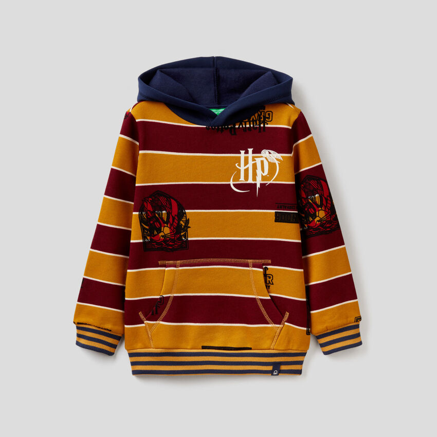 Harry Potter sweatshirt in shades of Gryffindor