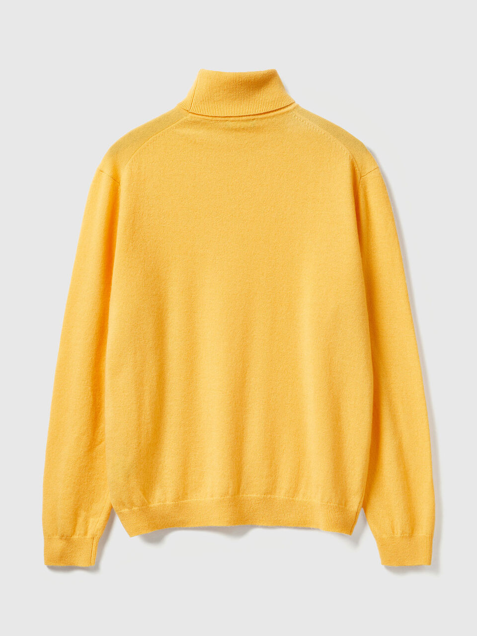 TURTLE NECK SWEATER Men image number 2