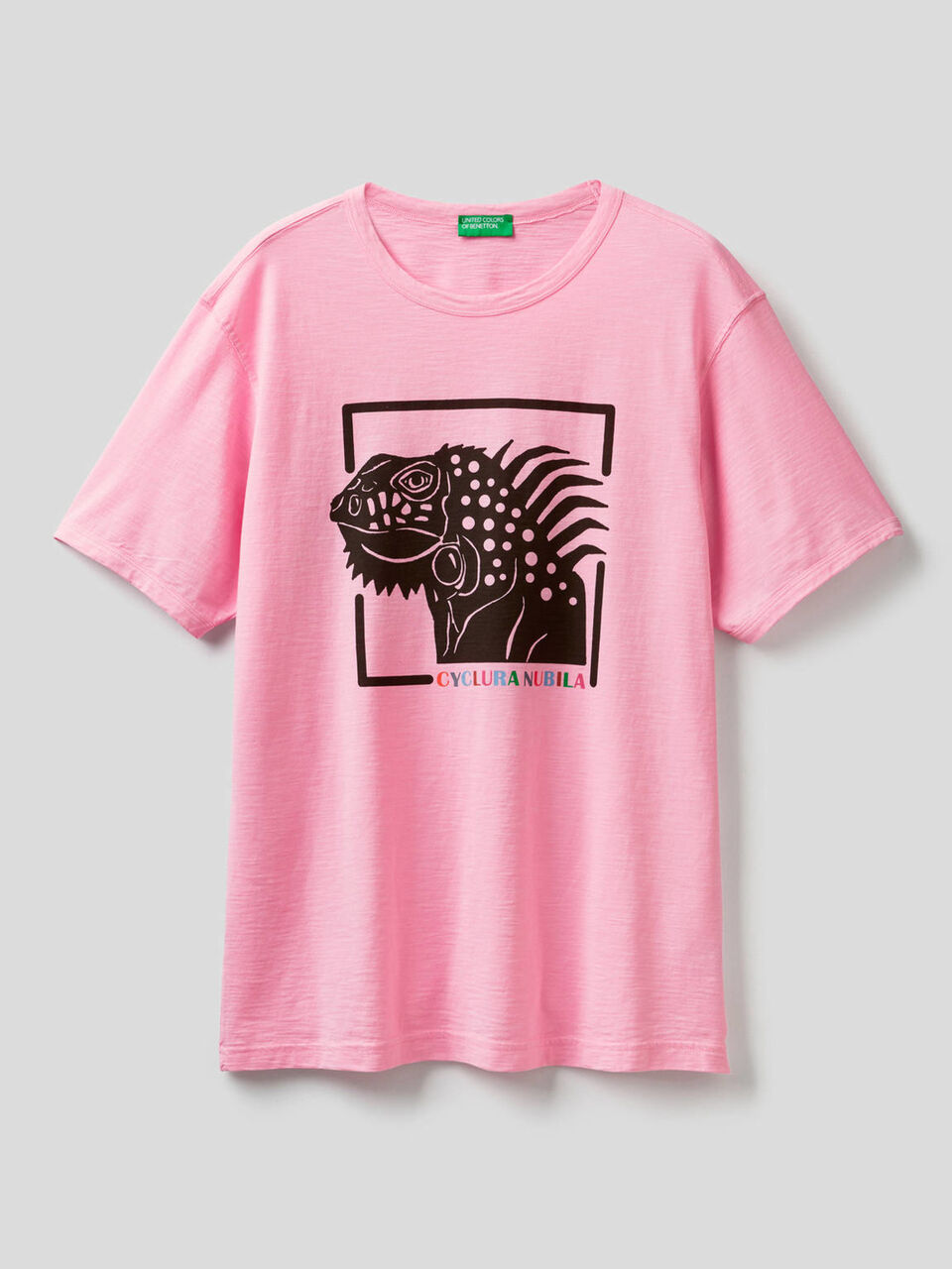 Pure cotton t-shirt with print image number 1